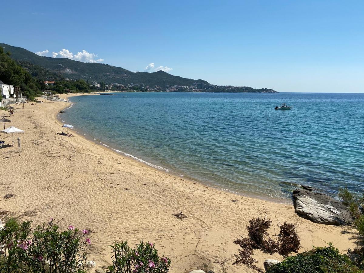 Irini Seaside Apartment PalaiónTsiflíkion 外观 照片
